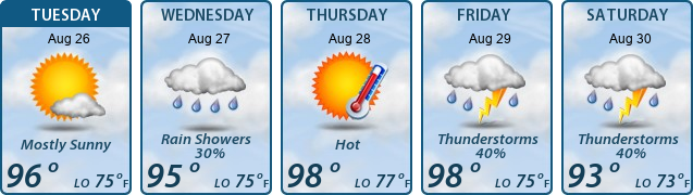 5-Day Forecast
