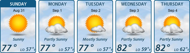 5-Day Forecast