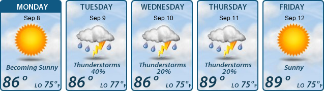 5-Day Forecast