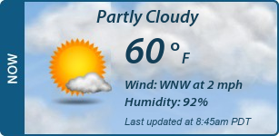 Current Conditions